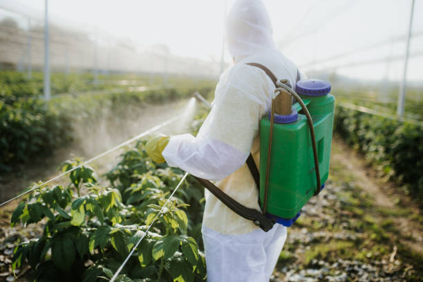 Wildlife Control Services in Enola, PA